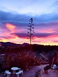 Spiritueller Rückzugsort in Sax mit endlosen Möglichkeiten in  Dream Villas Alicante
