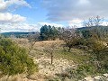 Prachtige off-grid paardenboerderij in Almansa in  Dream Villas Alicante
