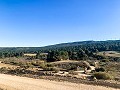 Prachtige off-grid paardenboerderij in Almansa in  Dream Villas Alicante