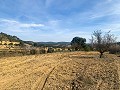 Prachtige off-grid paardenboerderij in Almansa in  Dream Villas Alicante