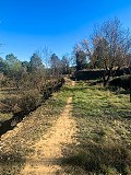 Prachtige off-grid paardenboerderij in Almansa in  Dream Villas Alicante