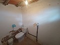 Belle maison de campagne de 3 chambres et 1 salle de bain à Yecla. in  Dream Villas Alicante