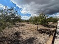 Charming Country Home  in  Dream Villas Alicante