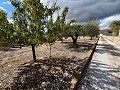 Charming Country Home  in  Dream Villas Alicante