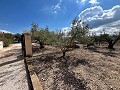 Charming Country Home  in  Dream Villas Alicante