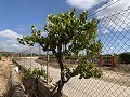 Villa with 4 Beds & 2 bath, large plot with space for Pool, Stables or Business in  Dream Villas Alicante