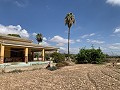 Villa with 4 Beds & 2 bath, large plot with space for Pool, Stables or Business in  Dream Villas Alicante