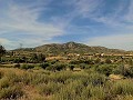 3 Bed Country house, Large Garage & 10 mins walk to Barinas Town in  Dream Villas Alicante