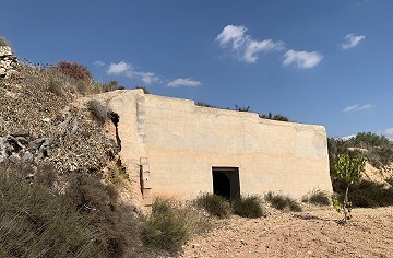Cavehouses on a big plot, reform project close to Town