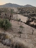 Cavehouses on a big plot, reform project close to Town in  Dream Villas Alicante