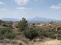 Cavehouses on a big plot, reform project close to Town in  Dream Villas Alicante