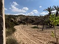 Cavehouses on a big plot, reform project close to Town in  Dream Villas Alicante