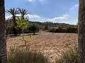 Cavehouses on a big plot, reform project close to Town in  Dream Villas Alicante