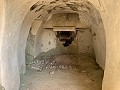 Cavehouses on a big plot, reform project close to Town in  Dream Villas Alicante