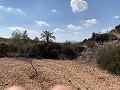 Cavehouses on a big plot, reform project close to Town in  Dream Villas Alicante