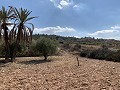 Cavehouses on a big plot, reform project close to Town in  Dream Villas Alicante