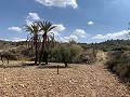 Cavehouses on a big plot, reform project close to Town in  Dream Villas Alicante