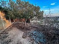 Villa with Pool and Half Cave with Barbecue and Garage in La Alcoraya in  Dream Villas Alicante