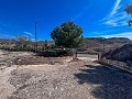 Renovation Project with Land in Agost in  Dream Villas Alicante
