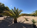 Moderne off-grid villa met zwembad in Biar in  Dream Villas Alicante