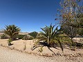 Moderne off-grid villa met zwembad in Biar in  Dream Villas Alicante