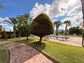 Prachtige villa met zwembad, groot gastenverblijf en hondenkennels in Monóvar! in  Dream Villas Alicante