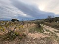 Rustic land in a privileged area of Onil in  Dream Villas Alicante