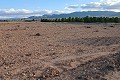 Building plot in Yecla. in  Dream Villas Alicante
