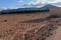 Building plot in Yecla. in  Dream Villas Alicante