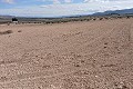 Gigantic building plot in Yecla. in  Dream Villas Alicante