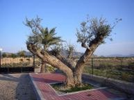 Large New Build Villa with swimming pool in  Dream Villas Alicante