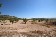 Casa de Campo con 100.000M2 de olivos y almendros in  Dream Villas Alicante