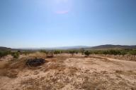 Casa de Campo con 100.000M2 de olivos y almendros in  Dream Villas Alicante