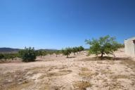 Casa de Campo con 100.000M2 de olivos y almendros in  Dream Villas Alicante