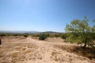 Casa de Campo con 100.000M2 de olivos y almendros in  Dream Villas Alicante