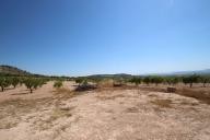 Casa de Campo con 100.000M2 de olivos y almendros in  Dream Villas Alicante