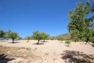 Casa de Campo con 100.000M2 de olivos y almendros in  Dream Villas Alicante