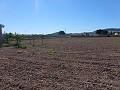Aspe, plot for sale! - Building Plots for sale in Aspe, Alicante | Alicante, Aspe in  Dream Villas Alicante