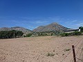 Aspe, plot for sale! - Building Plots for sale in Aspe, Alicante | Alicante, Aspe in  Dream Villas Alicante