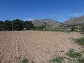 Aspe, plot for sale! - Building Plots for sale in Aspe, Alicante | Alicante, Aspe in  Dream Villas Alicante
