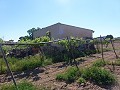 Aspe, plot for sale! - Building Plots for sale in Aspe, Alicante | Alicante, Aspe in  Dream Villas Alicante