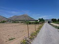 Aspe, plot for sale! - Building Plots for sale in Aspe, Alicante | Alicante, Aspe in  Dream Villas Alicante