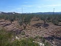 Stedelijke grond te koop - Bouwpercelen te koop in Macisvenda, Murcia | Alicante, Macisvenda in  Dream Villas Alicante