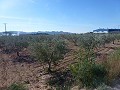 Stedelijke grond te koop - Bouwpercelen te koop in Macisvenda, Murcia | Alicante, Macisvenda in  Dream Villas Alicante