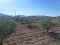 Stedelijke grond te koop - Bouwpercelen te koop in Macisvenda, Murcia | Alicante, Macisvenda in  Dream Villas Alicante