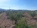 Stedelijke grond te koop - Bouwpercelen te koop in Macisvenda, Murcia | Alicante, Macisvenda in  Dream Villas Alicante