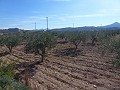 Stedelijke grond te koop - Bouwpercelen te koop in Macisvenda, Murcia | Alicante, Macisvenda in  Dream Villas Alicante