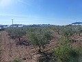 Stedelijke grond te koop - Bouwpercelen te koop in Macisvenda, Murcia | Alicante, Macisvenda in  Dream Villas Alicante