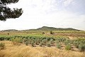 Country House with a pool in a nice location in  Dream Villas Alicante