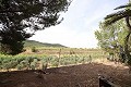 Country House with a pool in a nice location in  Dream Villas Alicante